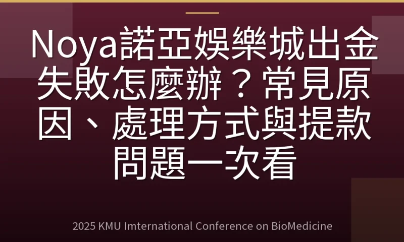 Noya諾亞娛樂城出金失敗怎麼辦？常見原因、處理方式與提款問題一次看