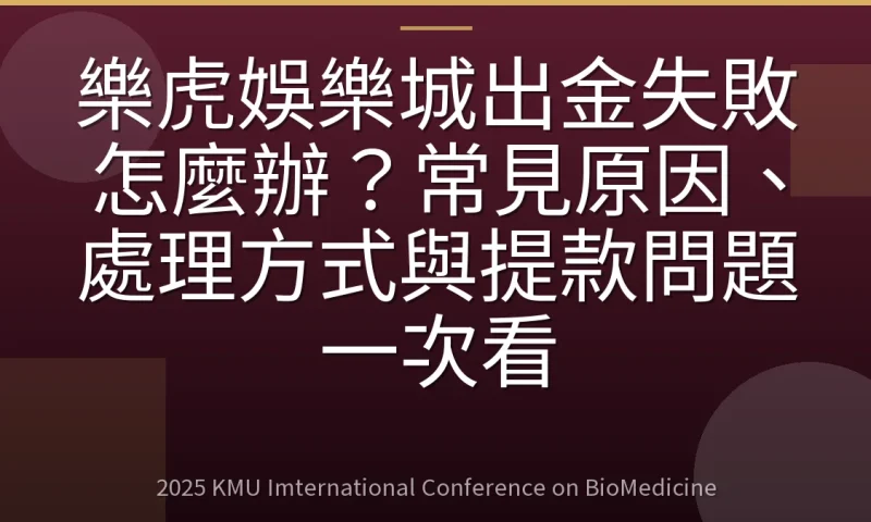 樂虎娛樂城出金失敗怎麼辦？常見原因、處理方式與提款問題一次看